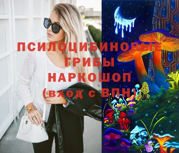 твердый Зеленодольск