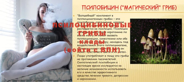 Альфа ПВП Зерноград