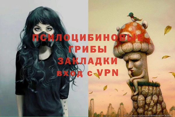 твердый Зеленодольск
