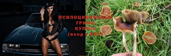 Альфа ПВП Зерноград