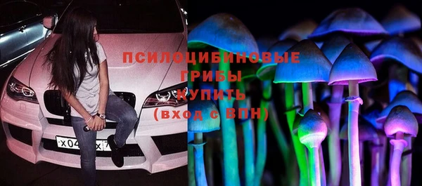 твердый Зеленодольск